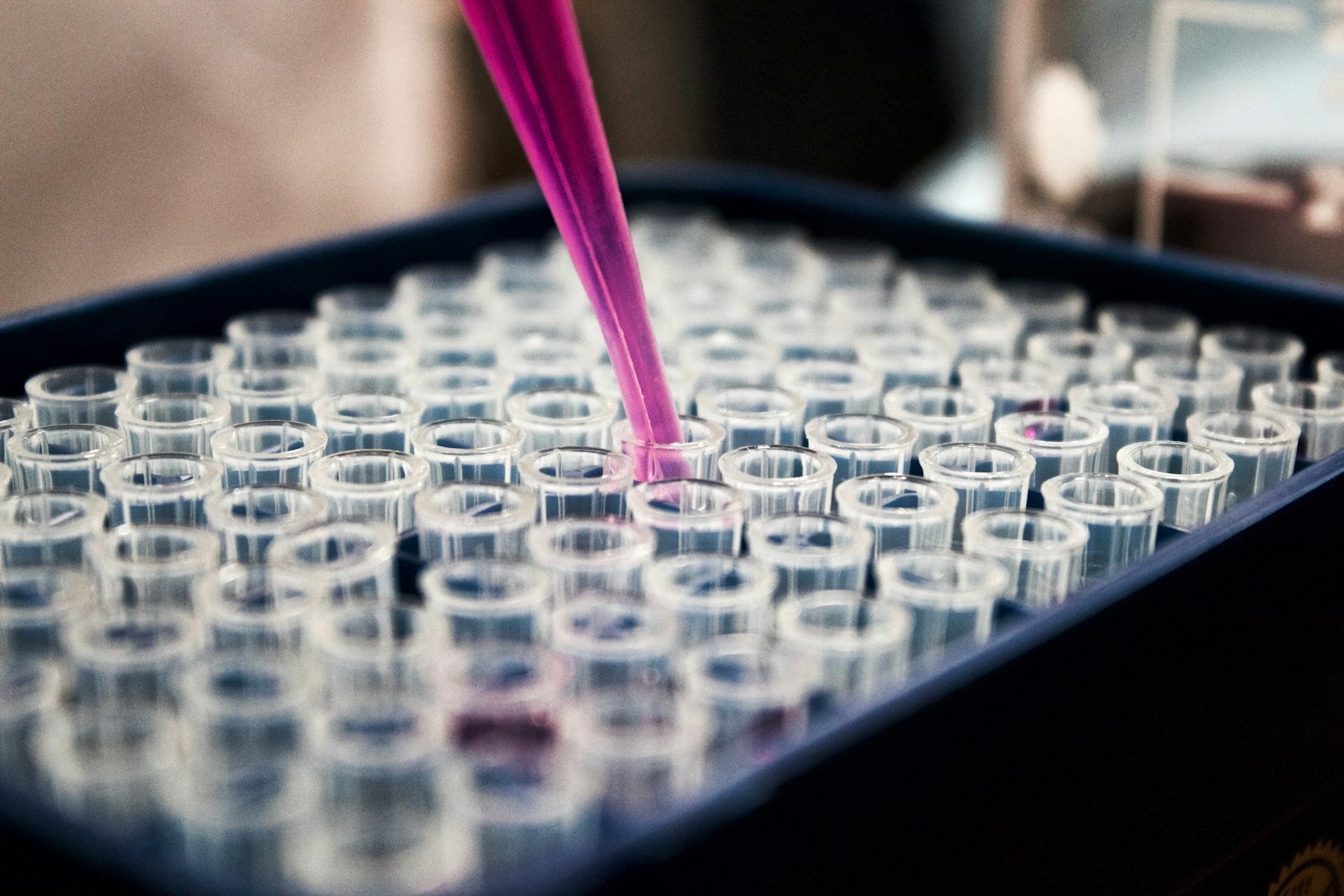 Agrochemical and fertilizer process engineering by Cheminsight